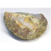 Opale de l'Oregon Pierre Brute 12217