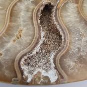 Ammonite Clinoviceras Nacrée Sciée Paire 20330