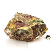 Opale de l'Oregon Pierre Brute 14937