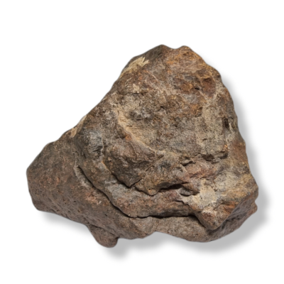Mtorite Chondrite - Numrotes