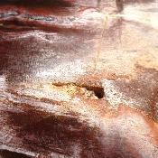 Bois Fossile Forme Libre 04071