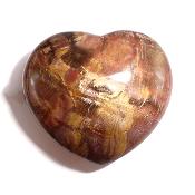 Bois Fossile Coeur 05188