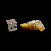 Opale d'Ethiopie - 12.55 carats - 07764
