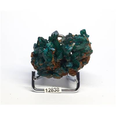 Dioptase Pierre Brute 12838