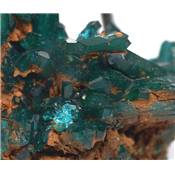 Dioptase Pierre Brute 12838