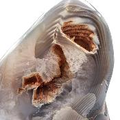 Agate Naturelle Forme Libre 14390