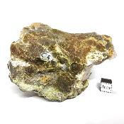 Opale de l'Oregon Pierre Brute 14959