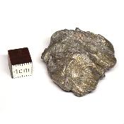 Météorite Sidérite Sikhote-Alin 15178