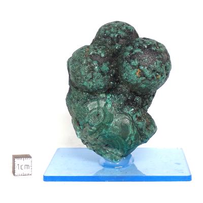 Malachite stalactite Pierre Brute 15262