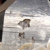 Cristal Miracle Mine pierre brute 15286