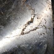 Labradorite Forme Libre 15371