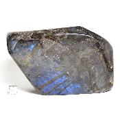 Labradorite Forme Libre 15503