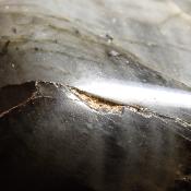 Labradorite Forme Libre 15504