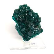 Dioptase Pierre Brute 15783