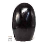 Tourmaline Noire Forme Libre 15795