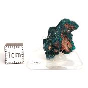Dioptase Pierre Brute 15823