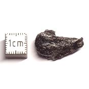 Météorite Sidérite Sikhote-Alin 15984