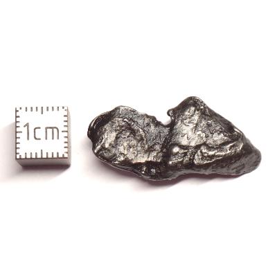 Météorite Sidérite Sikhote-Alin 15986