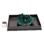 Dioptase Pierre Brute 19360