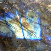 Labradorite Forme Libre 19928