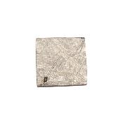 Météorite de Muonionalusta - plaque 2008