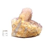 Cristal Cactus Brute 2051