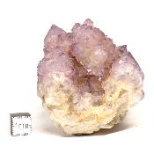 Cristal Cactus Brute 2053