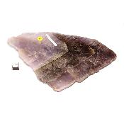 Super Seven Plaque 2067