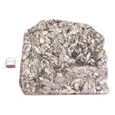 Pinolite Plaque 2339