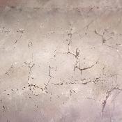 Super Seven Plaque 2365