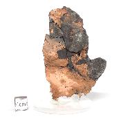 Cuivre Natif pierre brute 2575