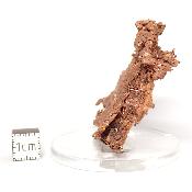 Cuivre Natif pierre brute 2581