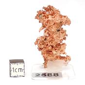 Cuivre Natif pierre brute 2588