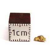 Pépite d'Or 2658