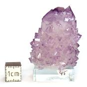 Cristal Cactus Brute 2724