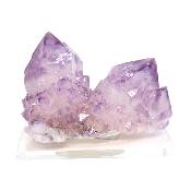 Cristal Cactus Brute 2726