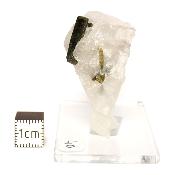 Tourmaline Verte sur gangue pierre brute 2969