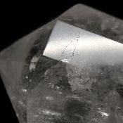 Cristal Vogel 3036
