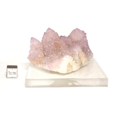 Cristal Cactus Pierre Brute 05401