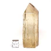 Citrine Pointe Unique Polie n° 05839