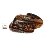Ambre de la Baltique morceau poli n° 05950