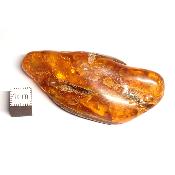 Ambre de la Baltique morceau poli n° 05951