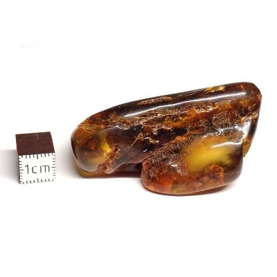 Ambre de la Baltique morceau poli n° 05952