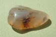 Agate Dendritique