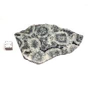 Diorite Orbiculaire Plaque 0115