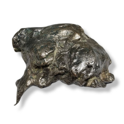 Météorite Sidérite Sikhote-Alin 11811