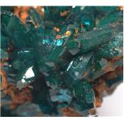 Dioptase Pierre Brute 12838