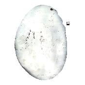 Agate Plaque Fine 14848