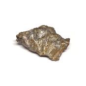 Météorite Sidérite Sikhote-Alin 15165