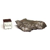 Météorite Sidérite Sikhote-Alin 15176